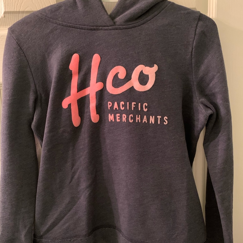 Hollister hoodie